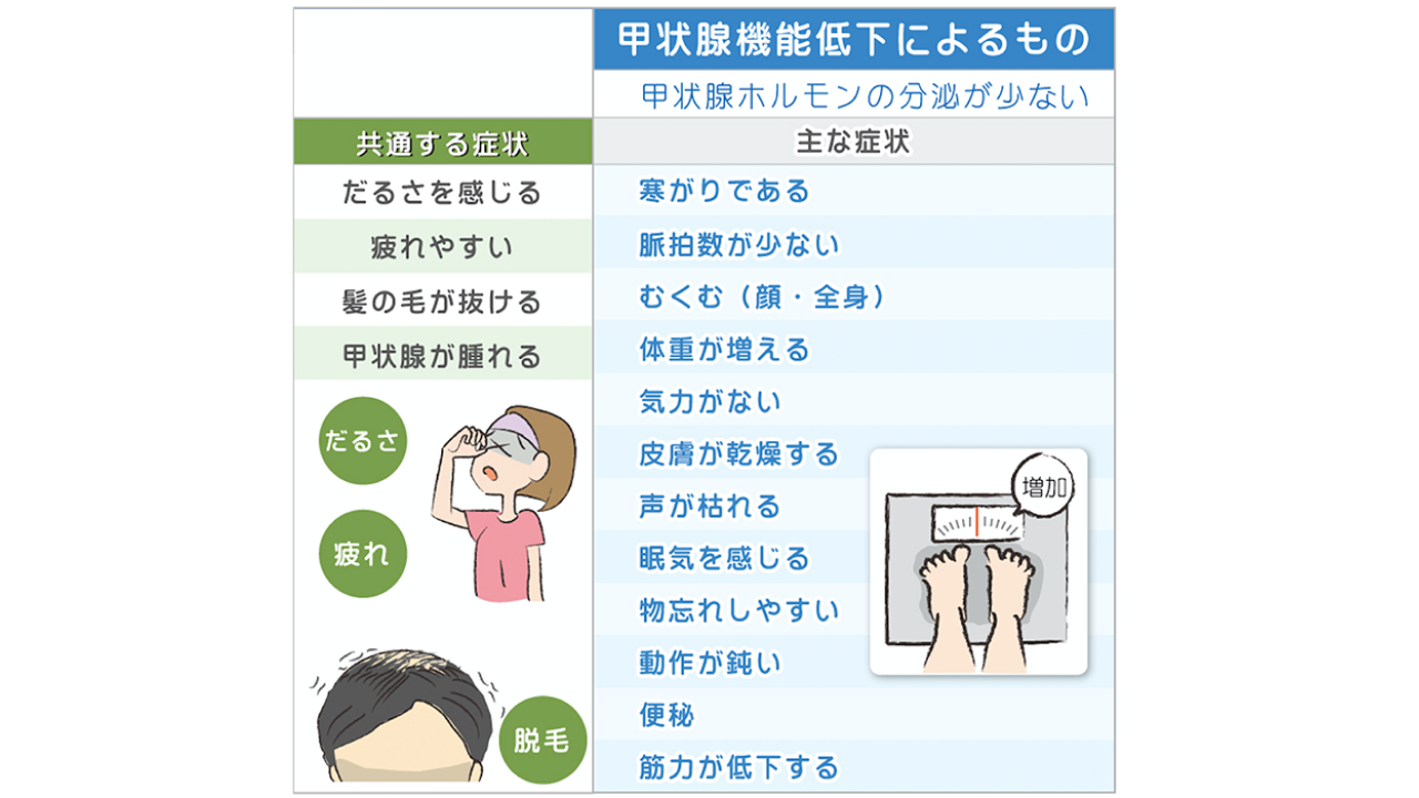 甲状腺疾患03