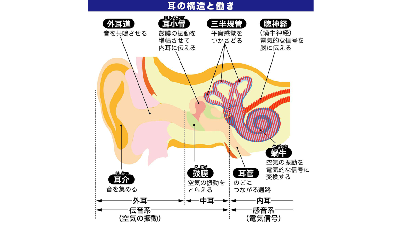 難聴02