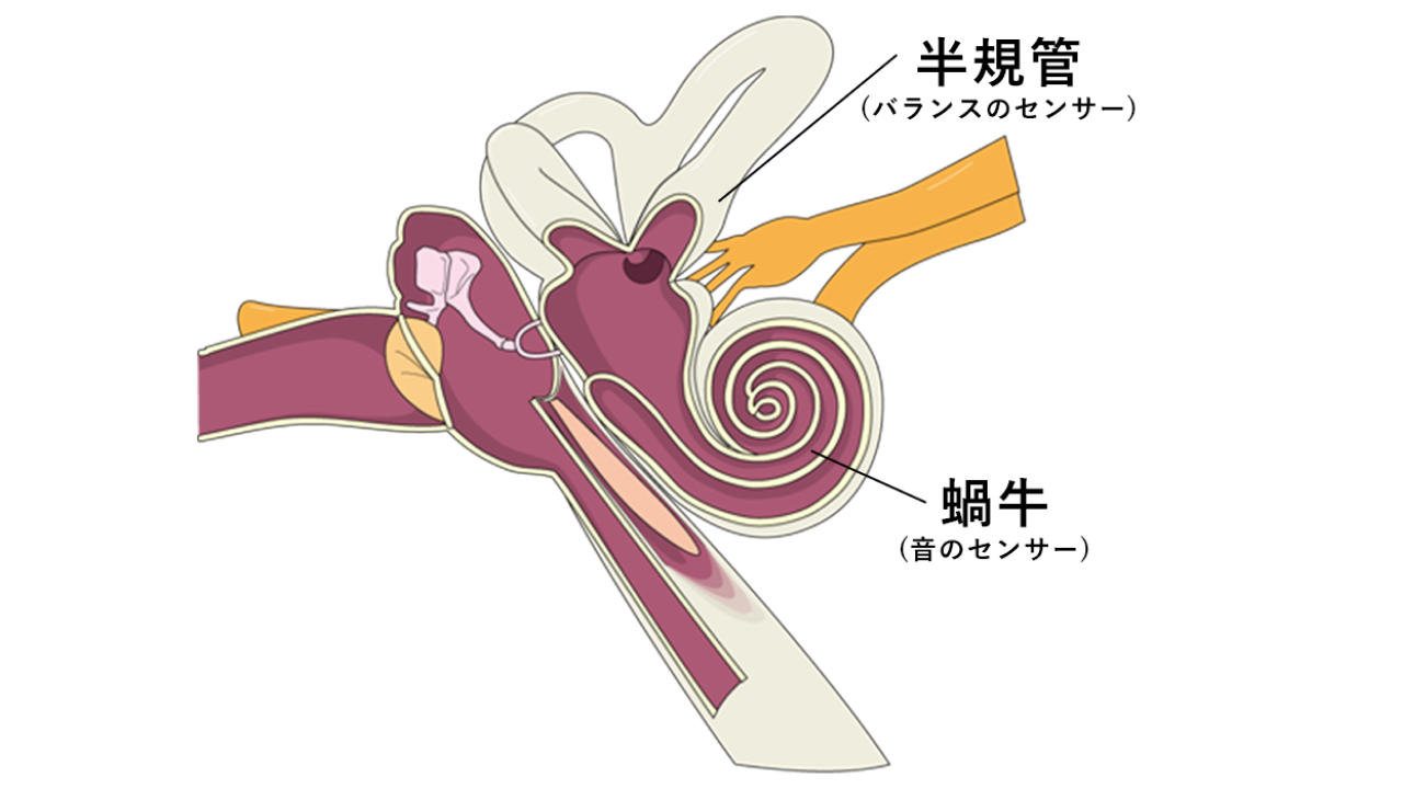 良性発作性頭位めまい症とは？01