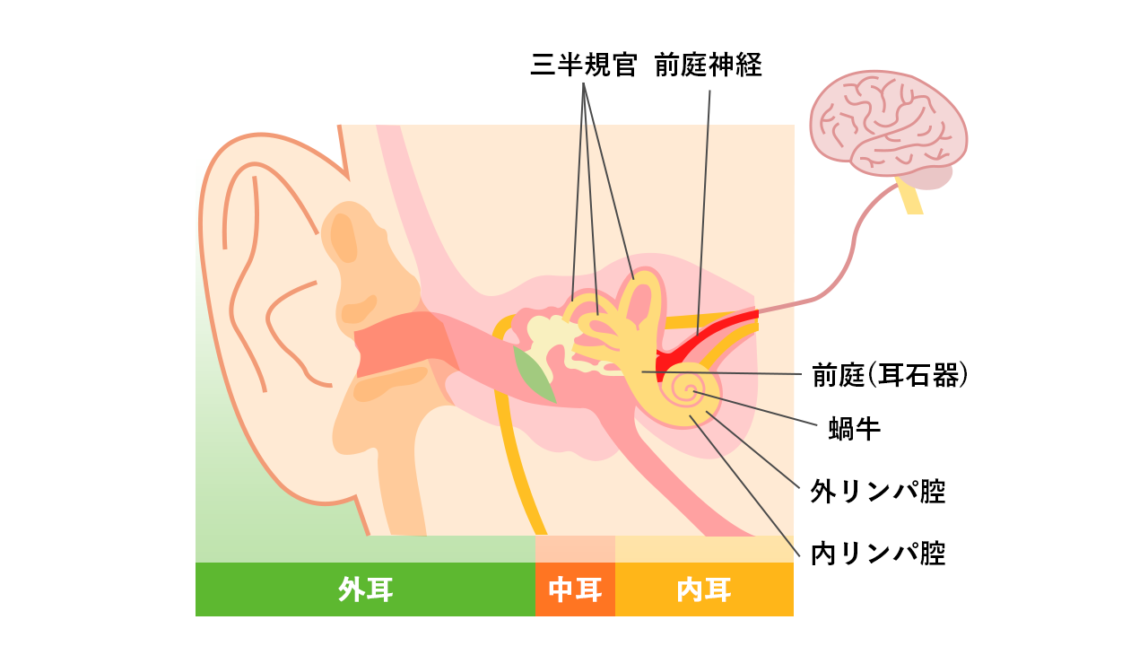 前庭神経炎