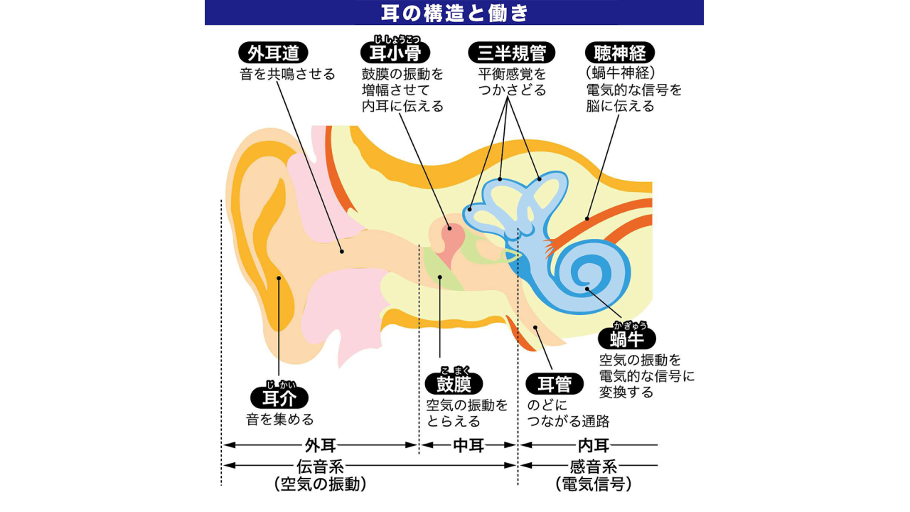 中耳炎01