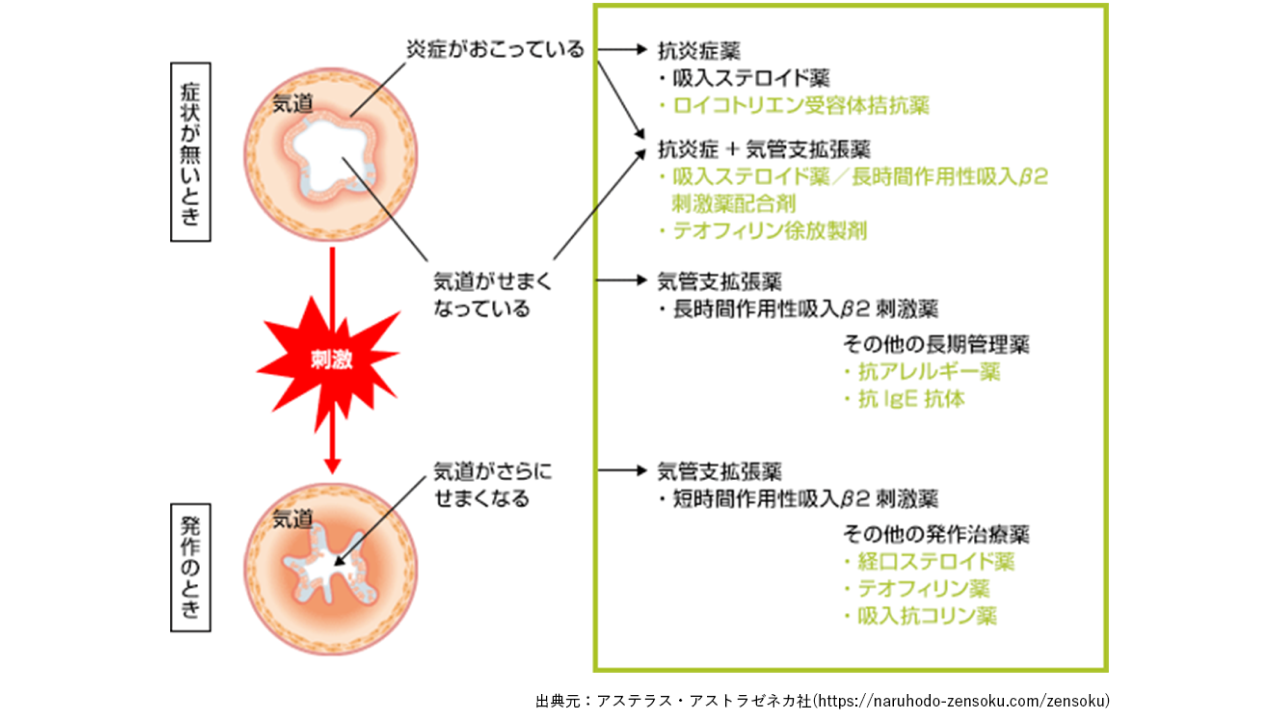 気管支喘息03